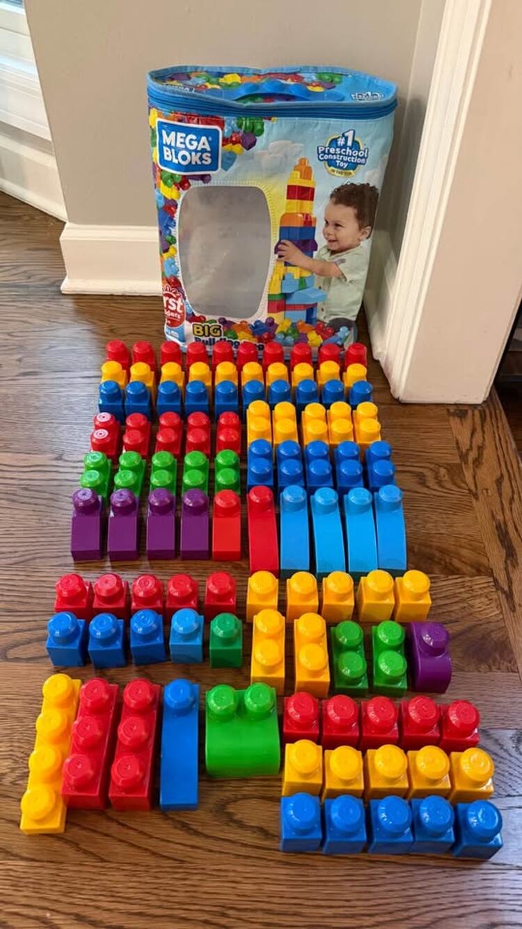 Mega Bloks 100 piece assorted set + carrying case